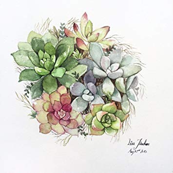 355x355 Jiachen Art Succulent Plant Watercolor Copy Photo - Succulent Painting