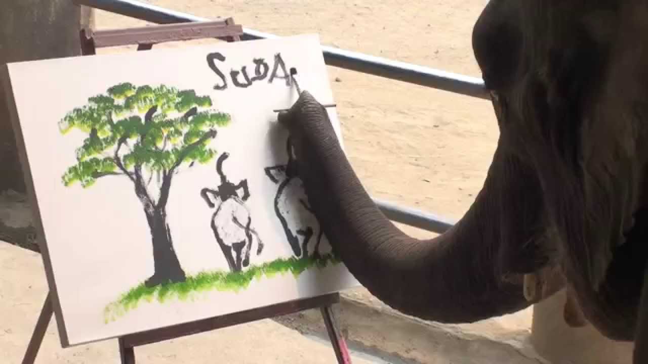 Suda Elephant Painting at Explore collection of