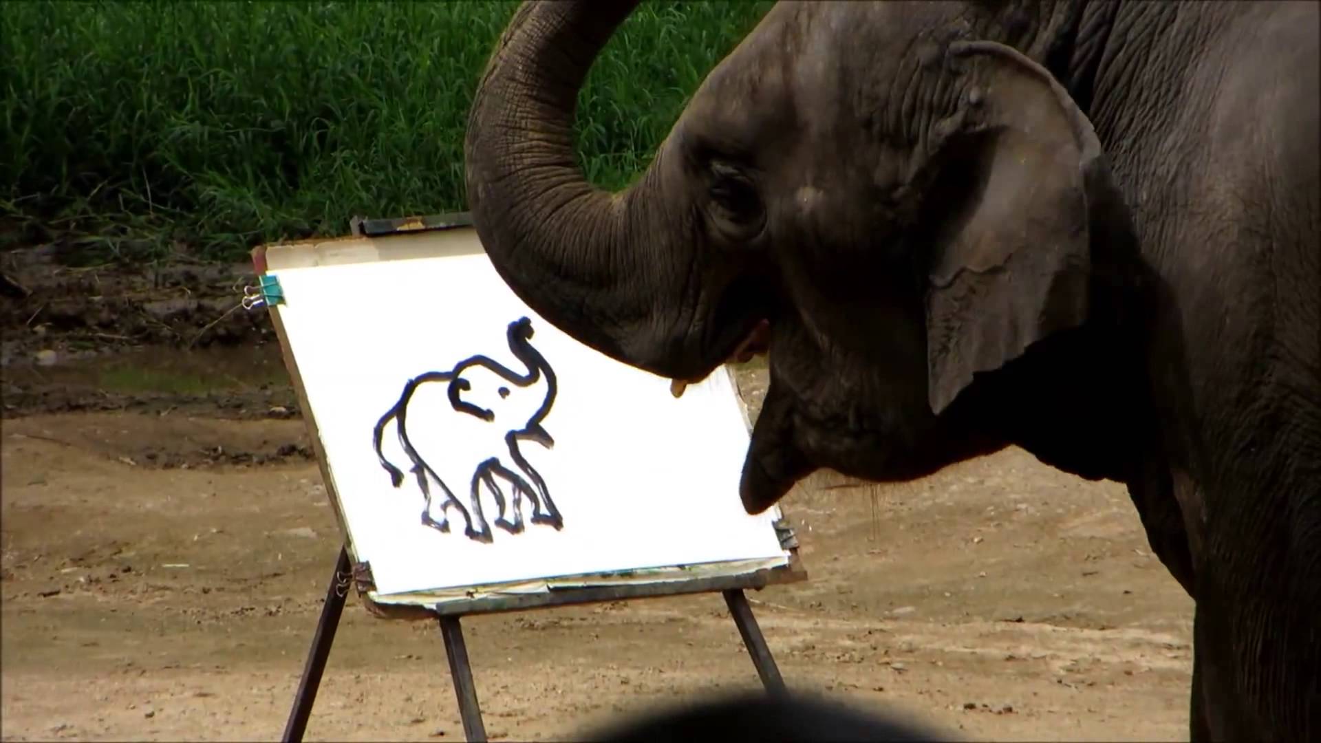 1920x1080 Suda The Painting Drawing Elephant - Suda Elephant Painting