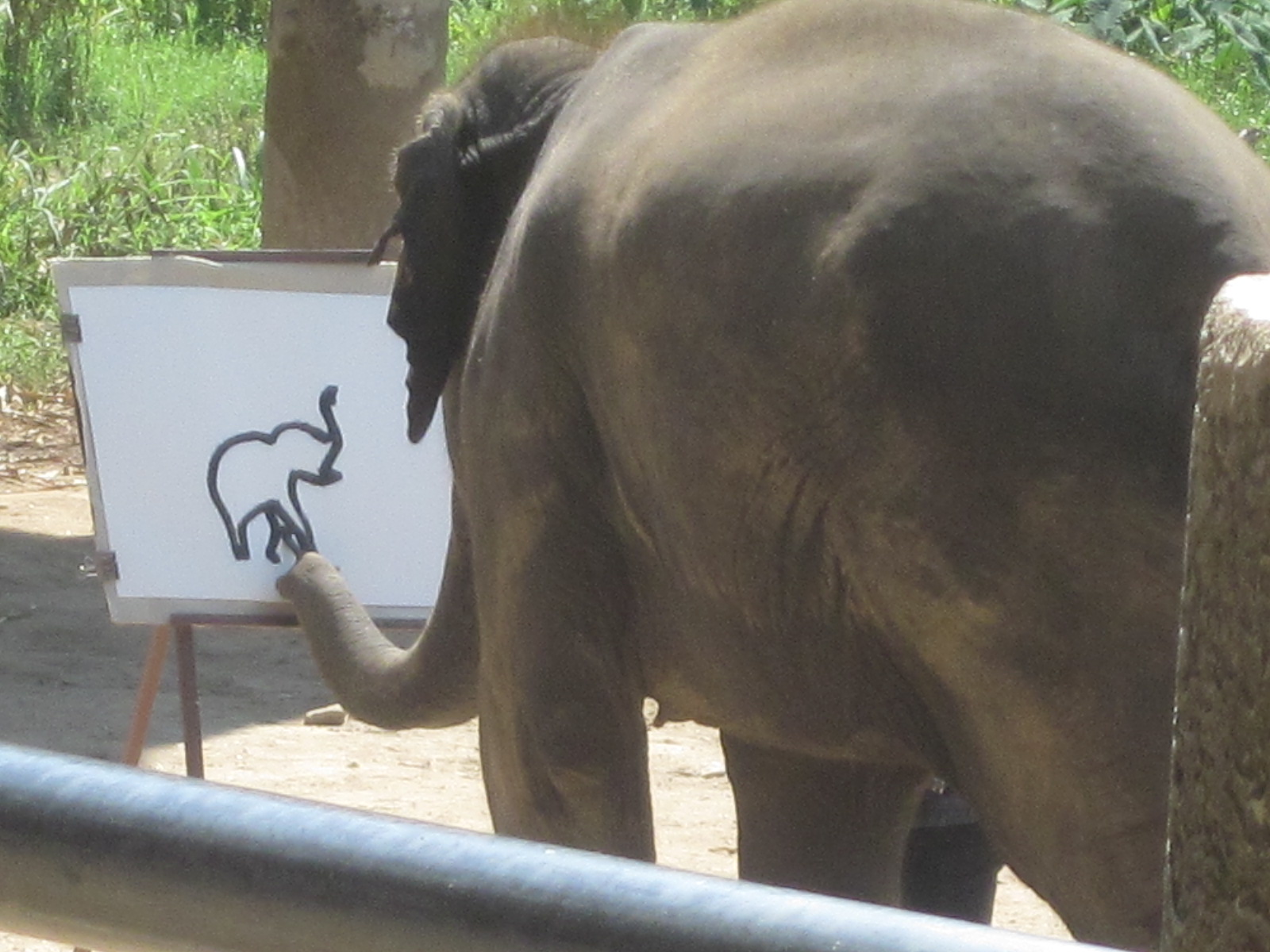 Suda Elephant Painting at Explore collection of