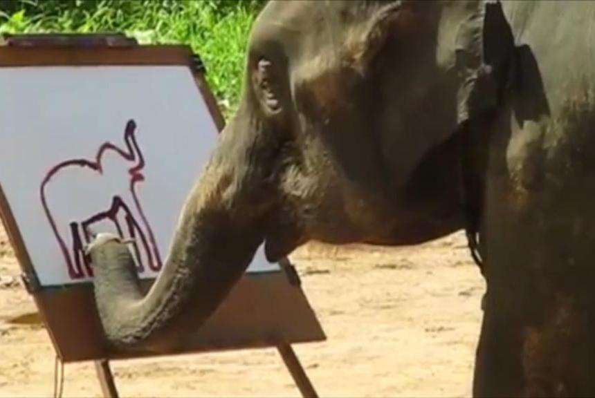860x576 Watch Talented Elephant Paints Self Portrait - Suda Elephant Painting