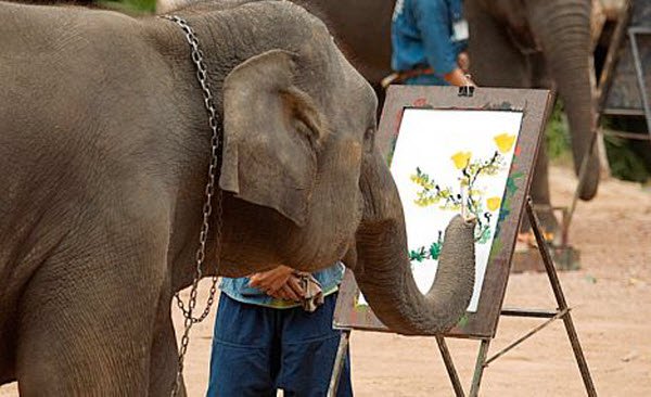 600x366 Elephant Painting A Portrait Real Or Hoax - Suda Elephant Painting