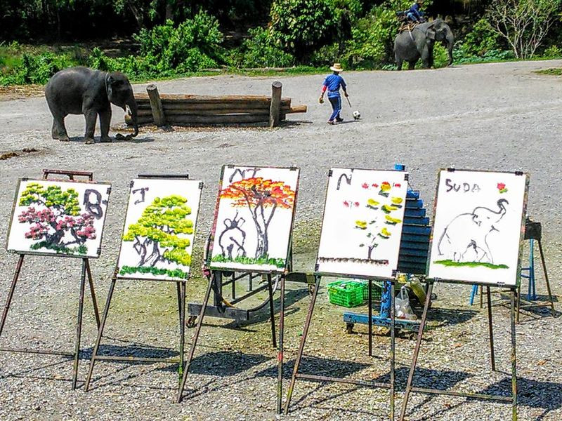 Suda Painting at Explore collection of Suda Painting