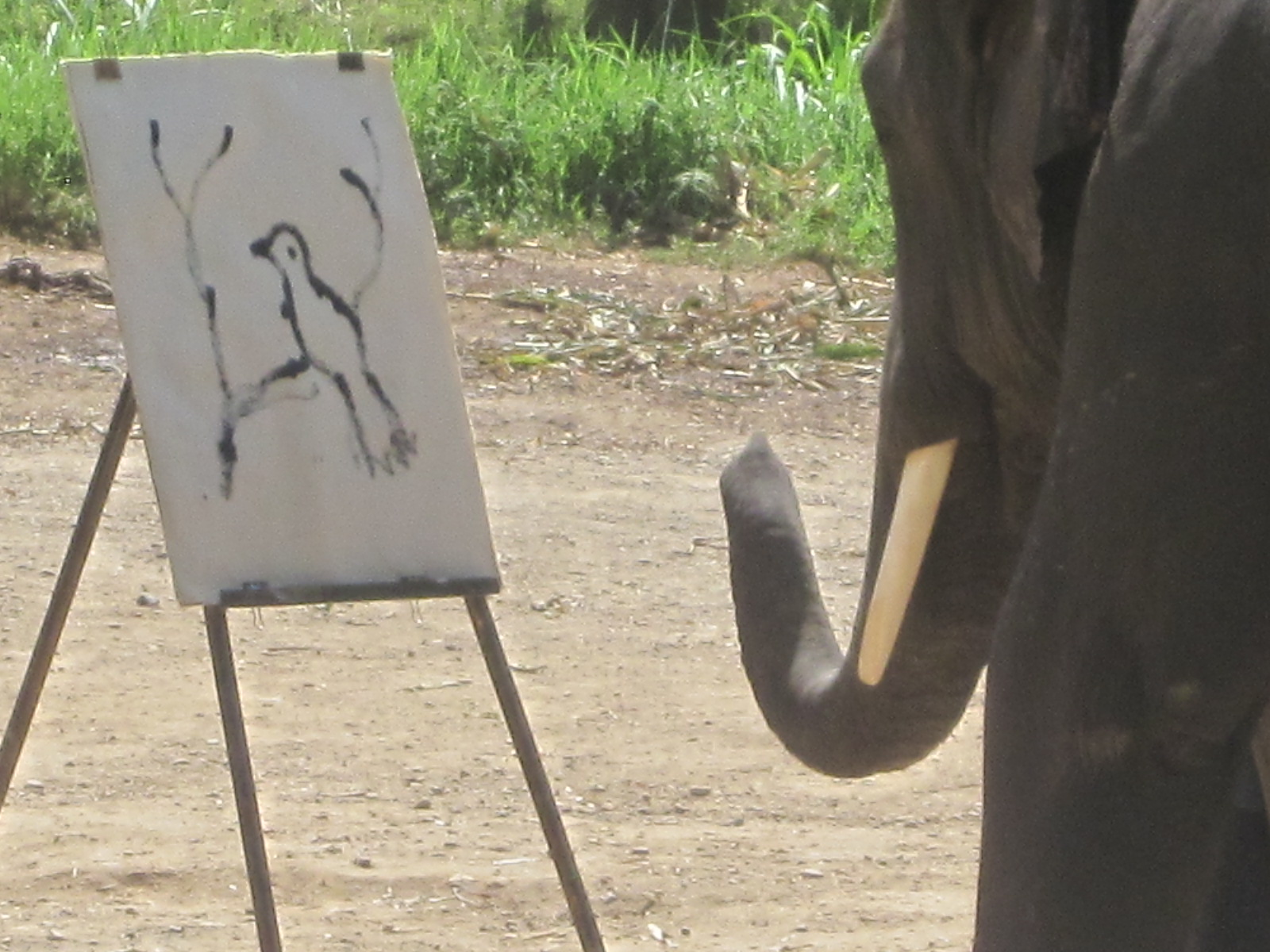 Suda Painting at Explore collection of Suda Painting