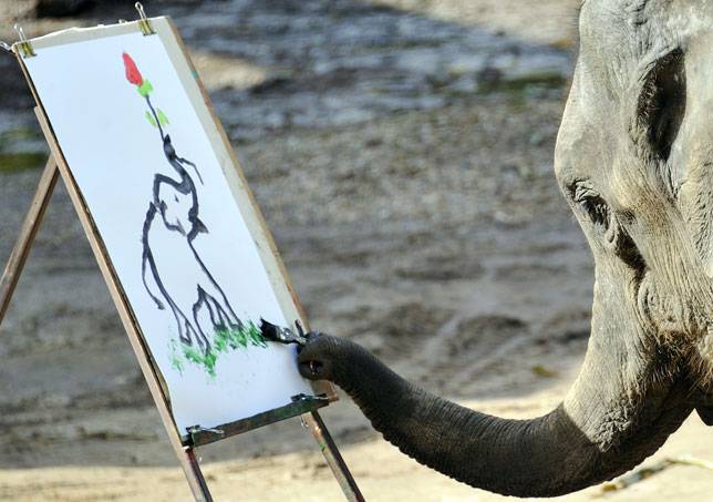 644x453 Can Elephants Really Paint Mnn - Suda Painting