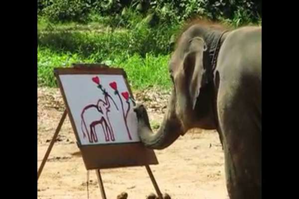 600x400 Meet Elephant - Suda The Elephant Painting