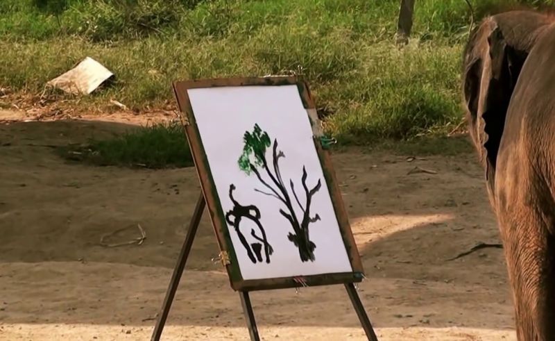 800x491 Painting Elephants In Thailand - Suda The Elephant Painting