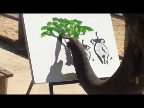 480x360 Suda - Suda The Elephant Painting