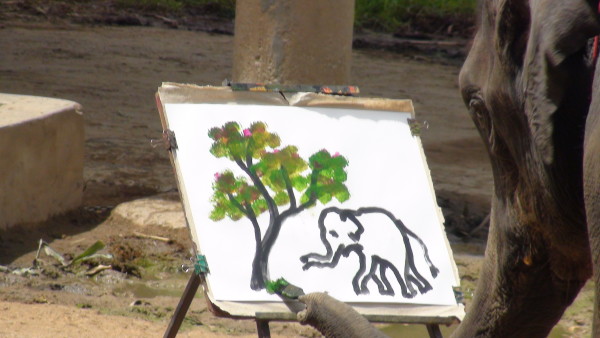 600x338 Suda 3 - Suda The Elephant Painting