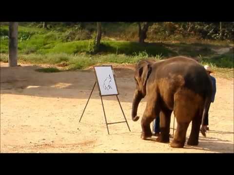 480x360 Painting - Suda The Elephant Painting