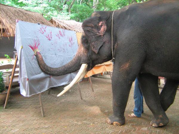 600x450 Elephant Artist Art By Elephants Meet Elephant Artists Ruby Amp Suda - Suda The Elephant Painting