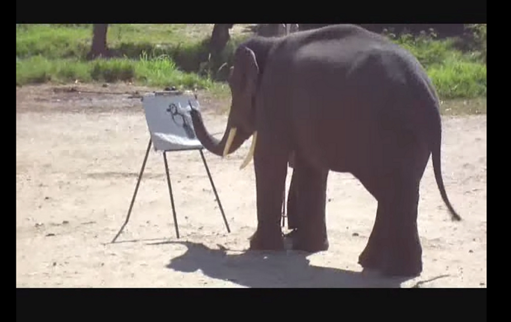 1050x663 Elephant Painting Hoax Debunked Occupytheory - Suda The Elephant Painting