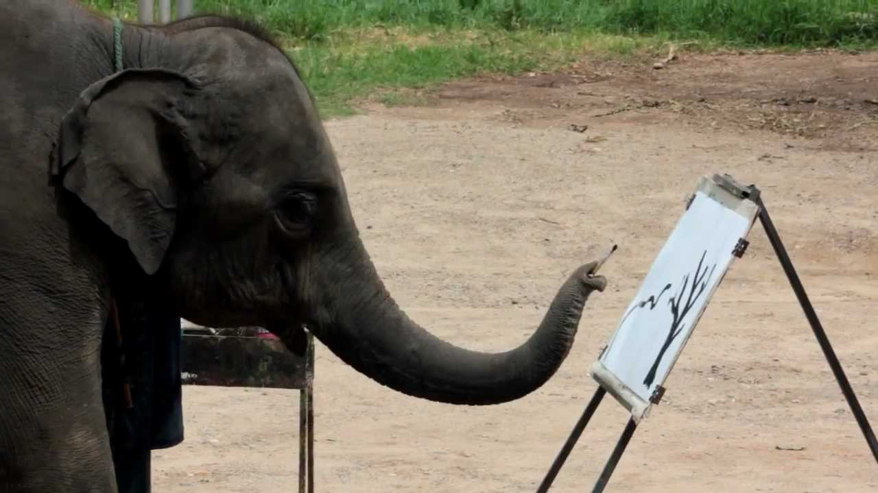 Suda The Elephant Painting at Explore collection