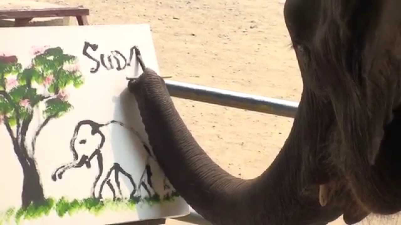 Suda The Elephant Painting at Explore collection