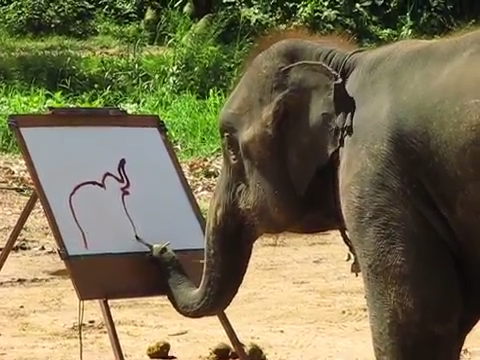 480x360 Elephant Painting - Suda The Painting Elephant