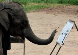 300x210 Elephant Painting On Canvas How To Paint An Elephant, Skin - Suda The Painting Elephant