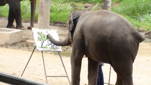 600x338 Vigorisa - Suda The Painting Elephant