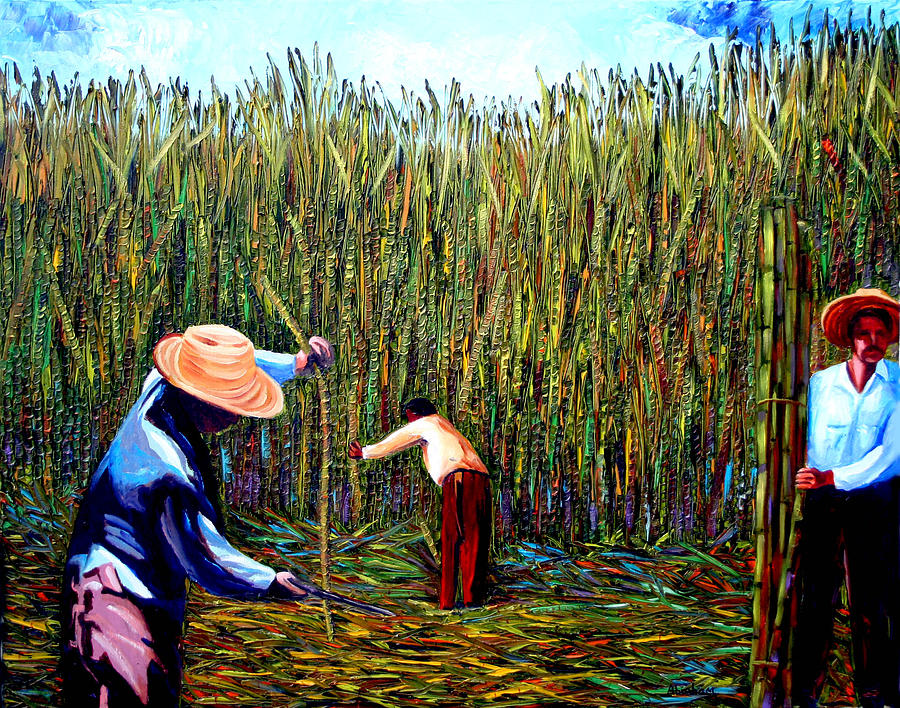 900x708 Sugarcane Worker 2 Painting By Jose Manuel Abraham - Sugarcane Painting