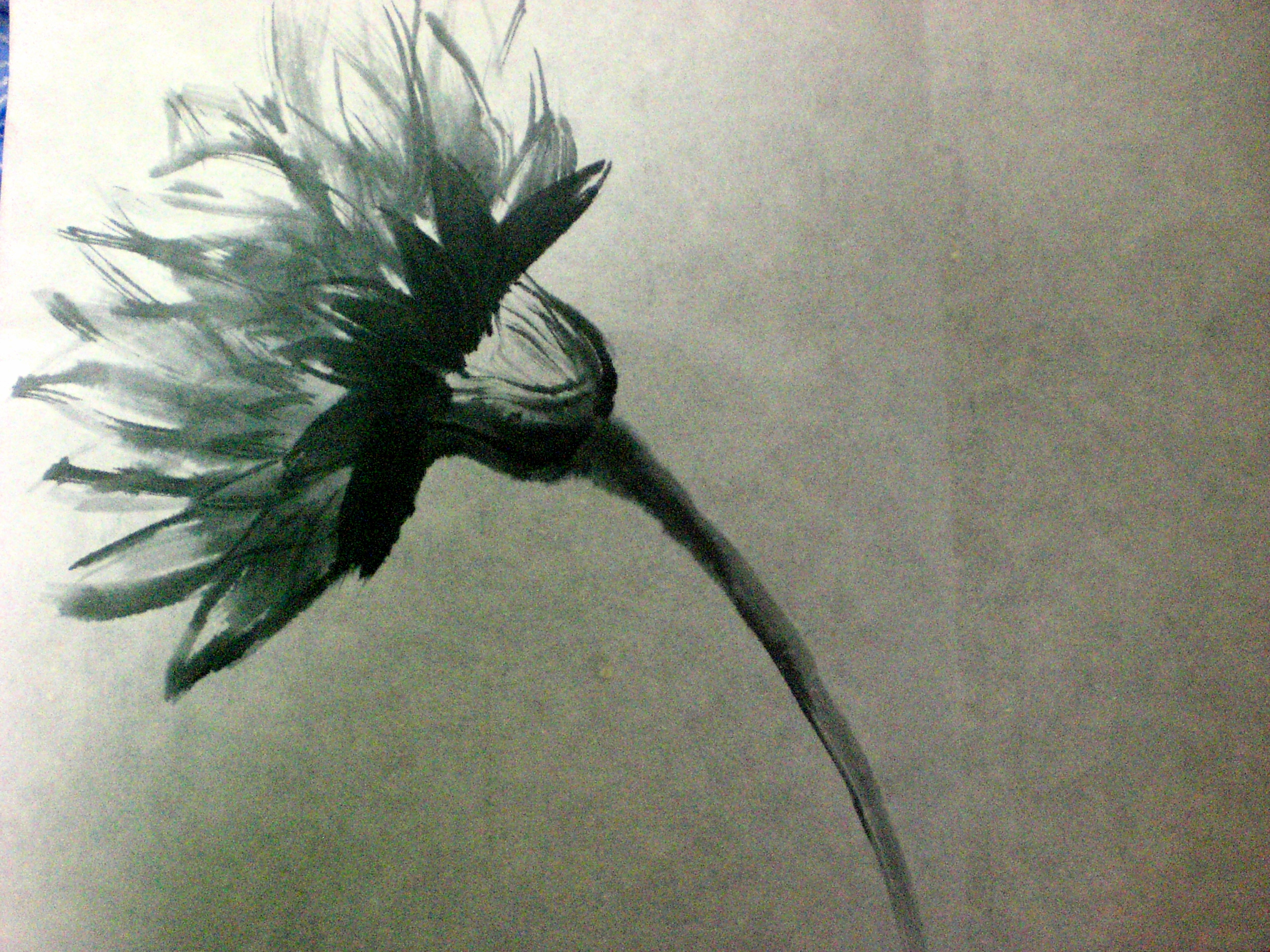 2560x1920 Modern Sumi E Painting Urban Research - Sumi E Painting