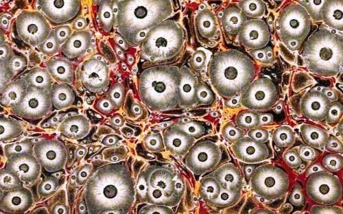 500x312 Suminagashi Painting On Water ~ Art Project Ideas And Craft Ideas - Suminagashi Painting