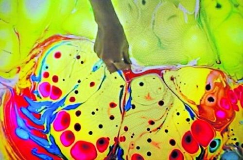 500x329 Suminagashi Painting - Suminagashi Painting