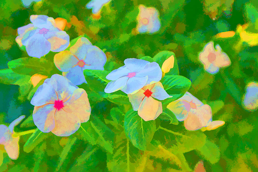 900x600 Stylized Summer Flower Painting Digital Art By Linda Phelps - Summer Flower Painting