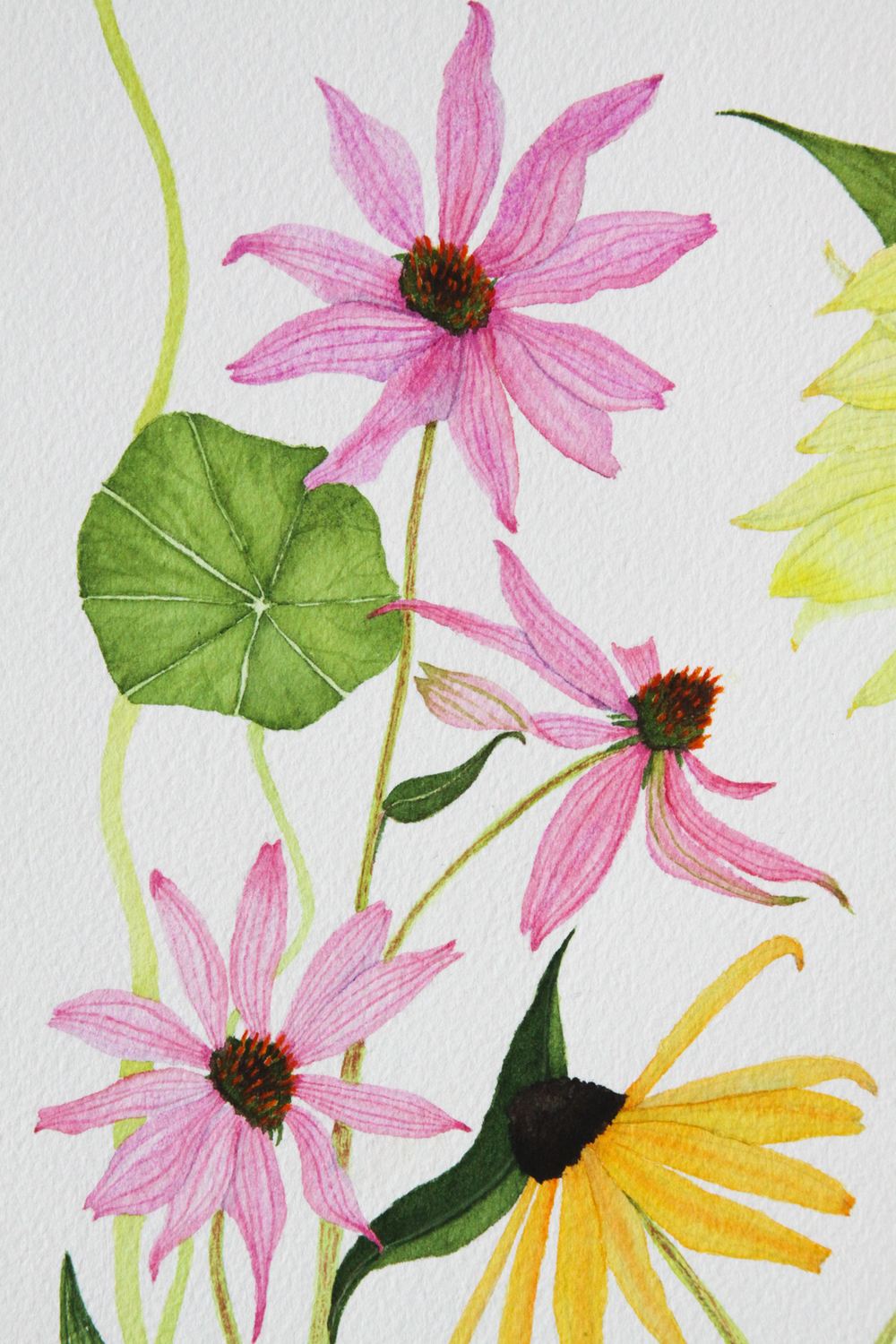 1000x1500 Summer Flower Garden Watercolor Painting My Giant Strawberry - Summer Flower Painting