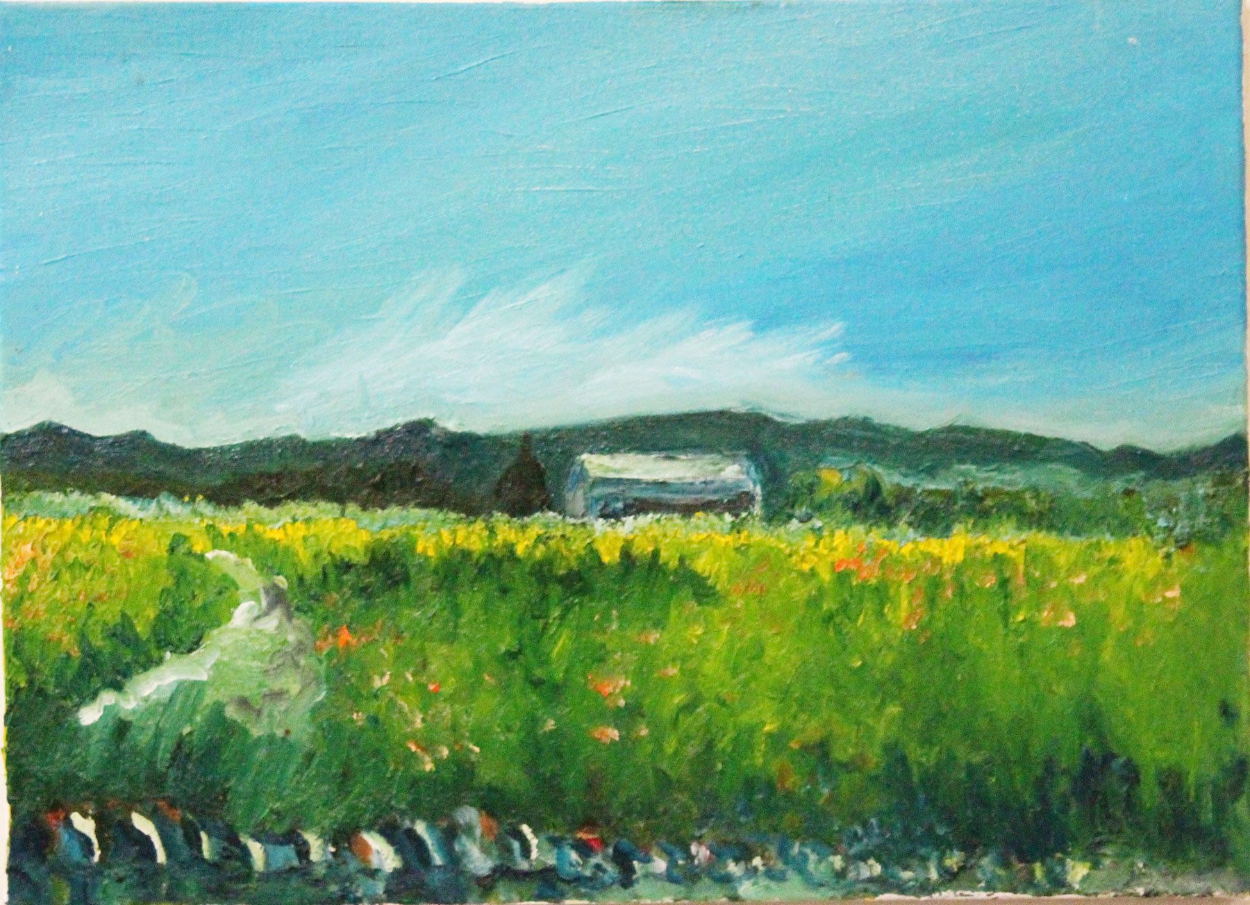 1800x1303 Trawden In Summer Oil Painting Emily Foulds - Summer Oil Painting