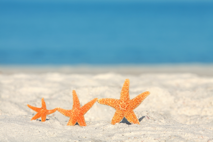 849x565 Sea Themed Paintings - Summer Themed Painting