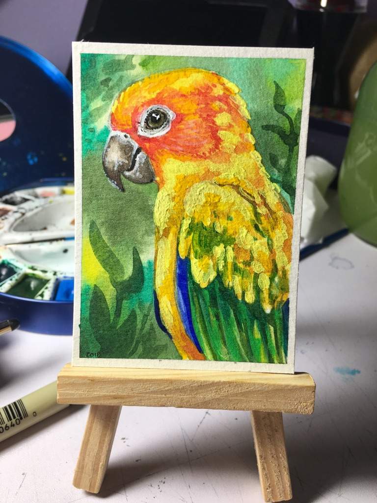 768x1024 Sun Conure Art Amino - Sun Conure Painting