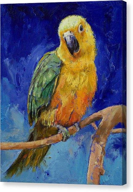 432x622 Sun Conure Canvas Prints Fine Art America - Sun Conure Painting