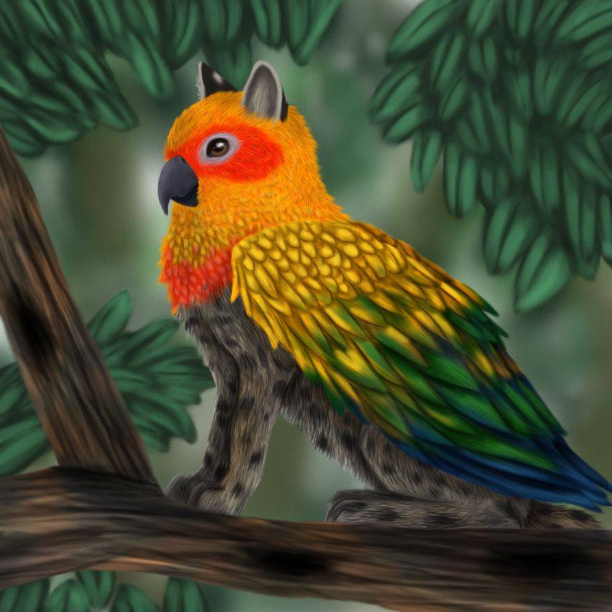 894x894 Sun Conure Griffin By Felondog - Sun Conure Painting