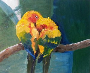 300x244 Sun Conure Paintings Fine Art America - Sun Conure Painting
