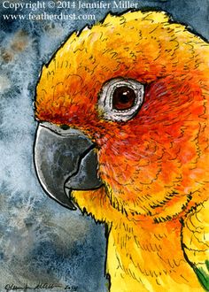 236x330 Sun Conure Watercolor Painting I Did On 12x12 Canvas - Sun Conure Painting