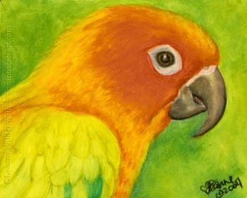 350x281 Pastel Animal Drawings Elvis Ii Sun Conure Bird Painting Oil - Sun Conure Painting