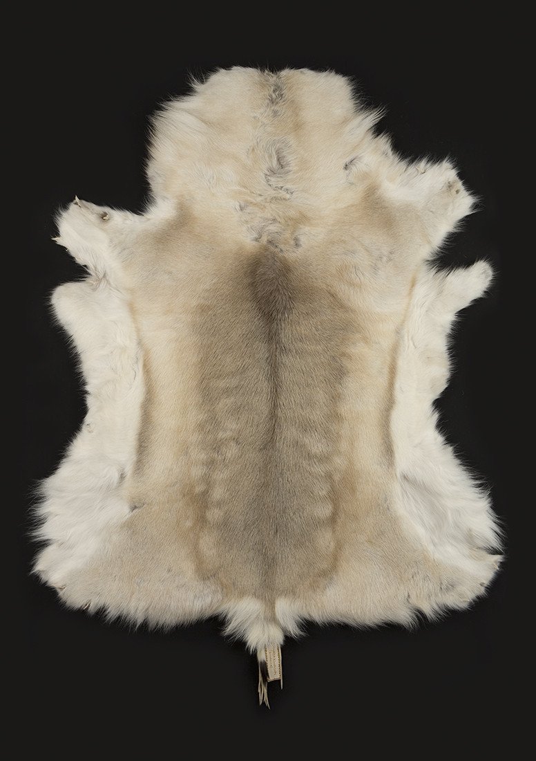 776x1100 Hand Painted Hides, Caribou Hides, Painted Hides, Painted Animal - Sundance Painting