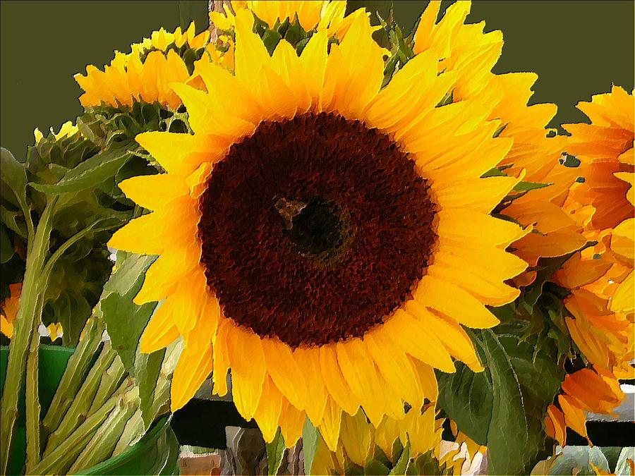 900x675 Sunflower Oil Painting Digital Art By Nina Rosa Duddy - Sunflower Oil Painting