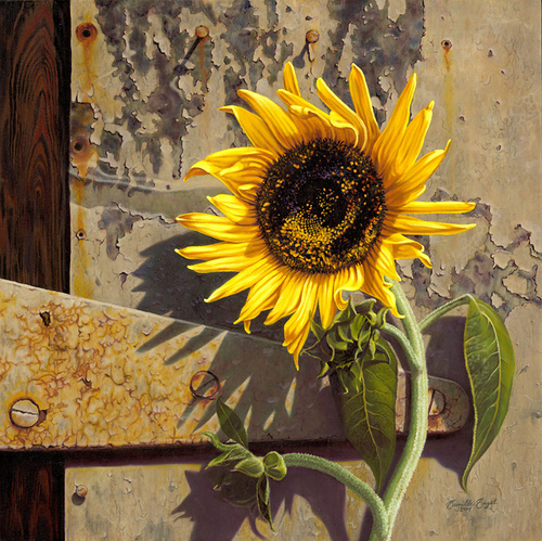 500x499 Sunflower - Sunflower Oil Painting