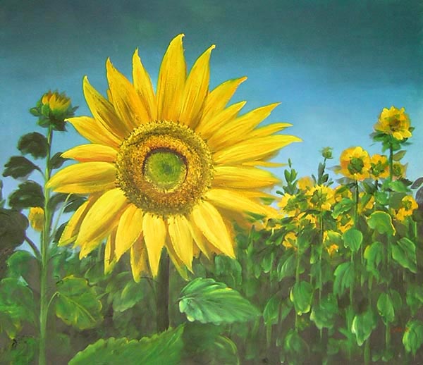 600x518 Hs1058 Sunflower Oil Painting Canvaspainting4less - Sunflower Oil Painting On Canvas