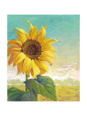 338x450 Beautiful Sunflowers Artwork For Sale, Posters And Prints - Sunflower Painting