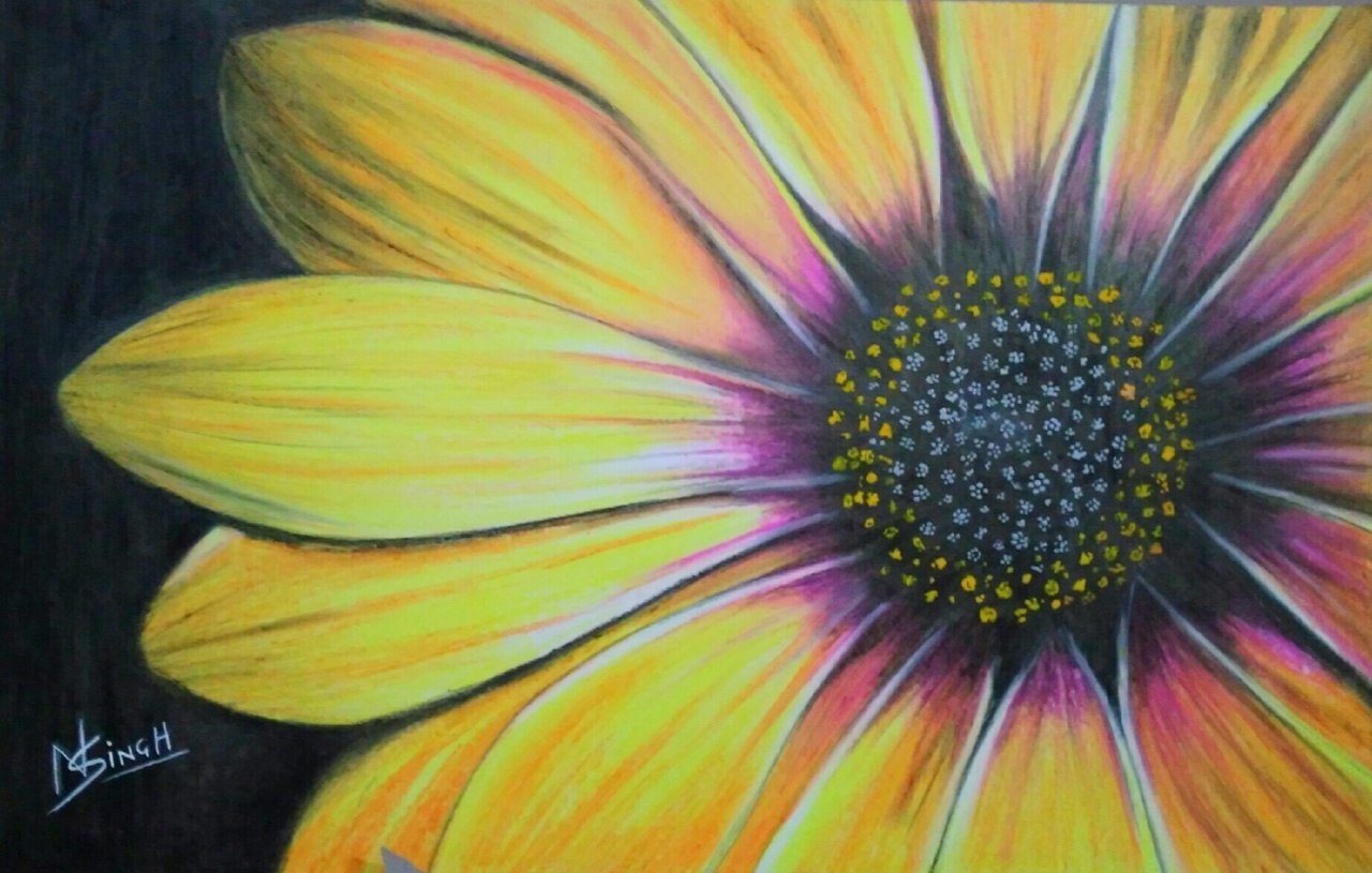 1280x815 Buy Sunflower Handmade Painting By Nagendra Singh. Code - Sunflower Painting