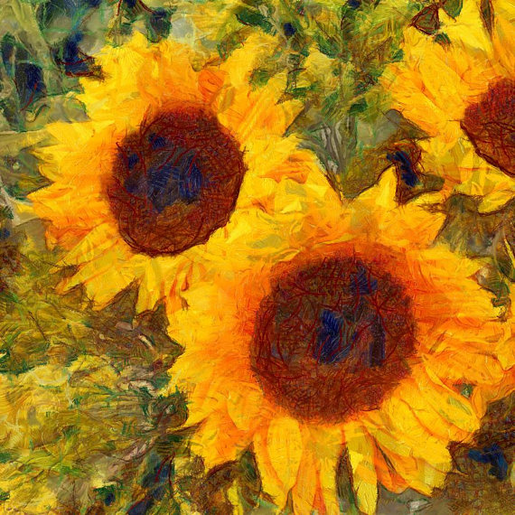 570x570 Sunflower Canvas Sunflower Painting Yellow Flower Canvas Sunflower - Sunflower Painting Images