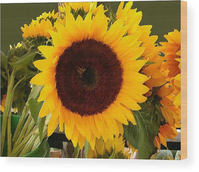 656x565 Sunflower Oil Painting Wood Print By Nina Rosa Duddy - Sunflower Painting On Wood