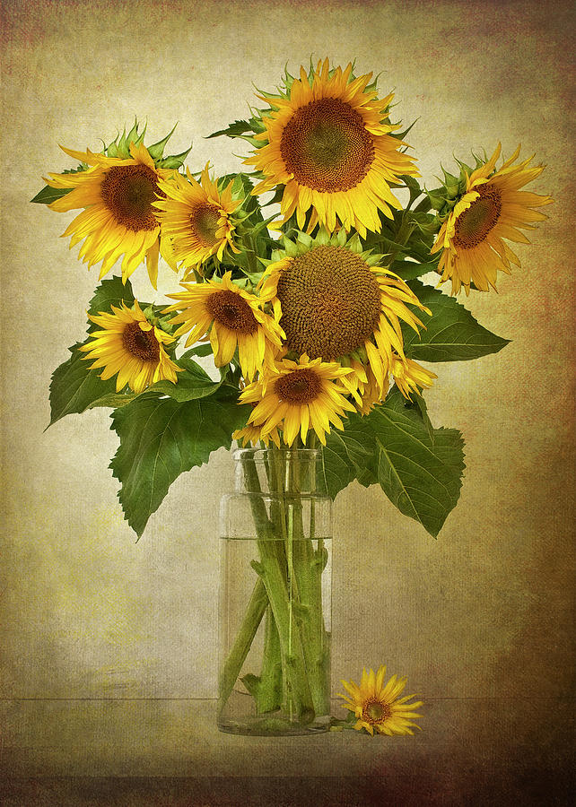 642x900 Sunflowers In Vase Photograph By Leslie Nicole Photographic Art - Sunflower Vase Painting