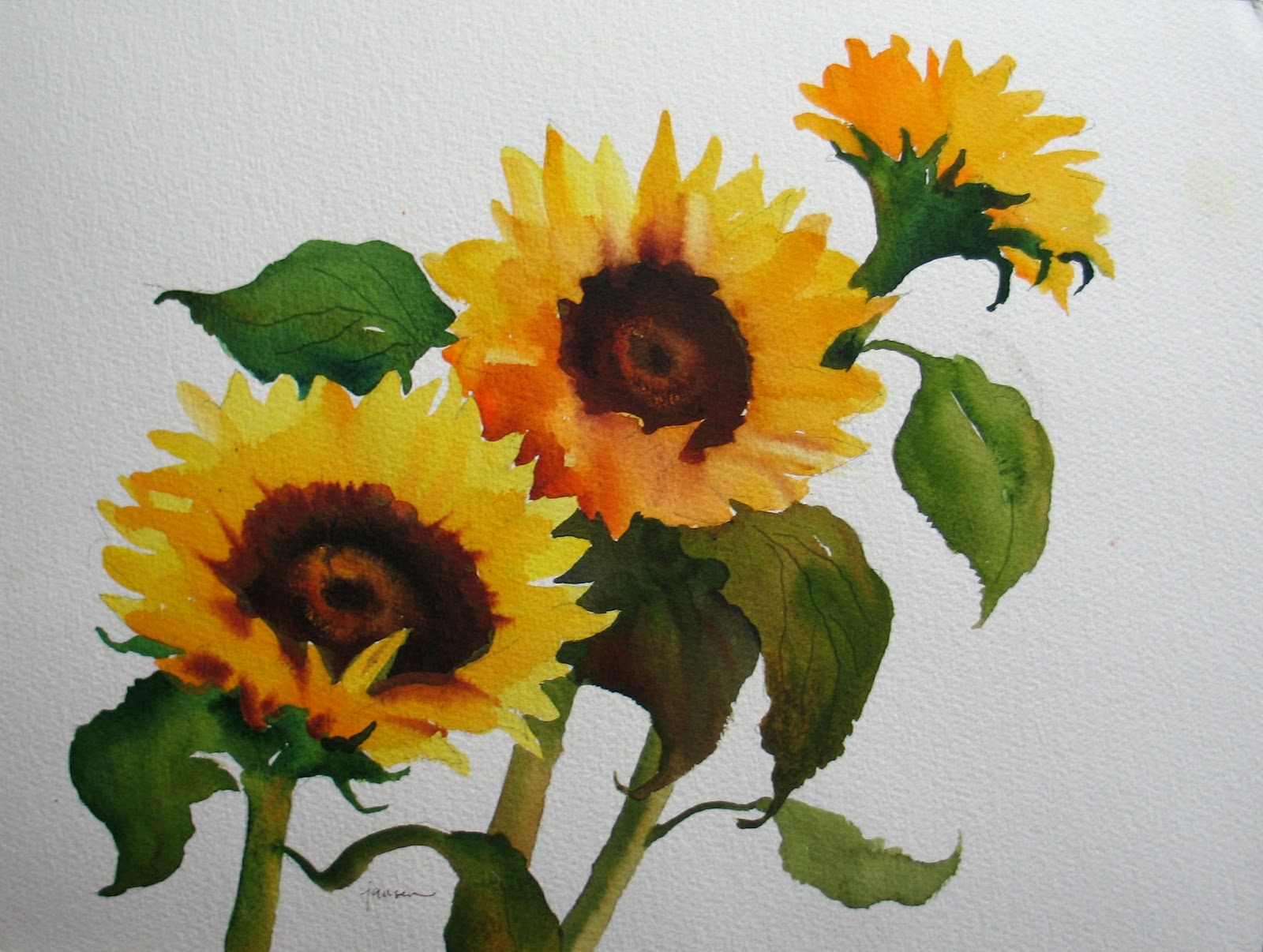 1600x1206 Nel's Everyday Painting Sunflowers Watercolor - Sunflower Watercolor Painting