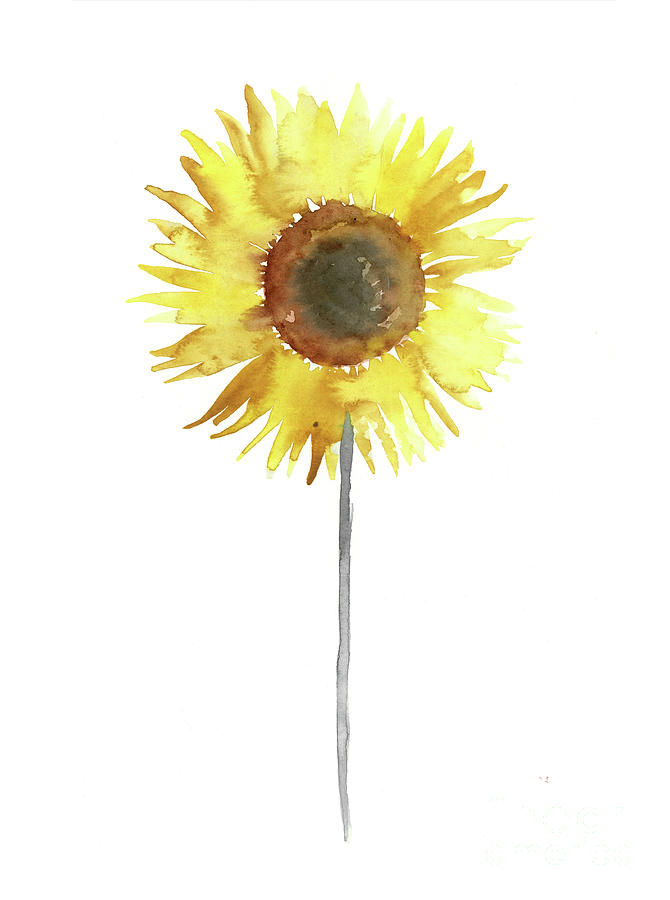 670x900 Sunflower Floral Display Yellow Brown Gray Watercolor Painting - Sunflower Watercolor Painting