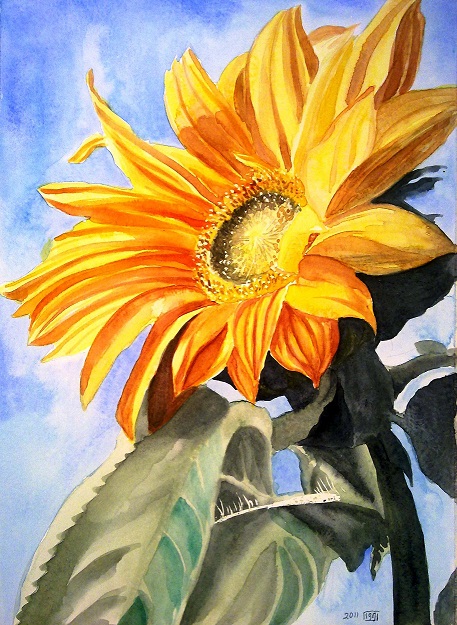 457x625 A Sunflower Watercolor Painting Zeinab1361art - Sunflower Watercolor Painting