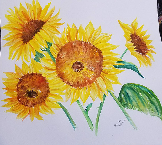 570x510 Sunflowers Watercolors Paintings Original 15 X 15 Sunflowers - Sunflower Watercolor Painting