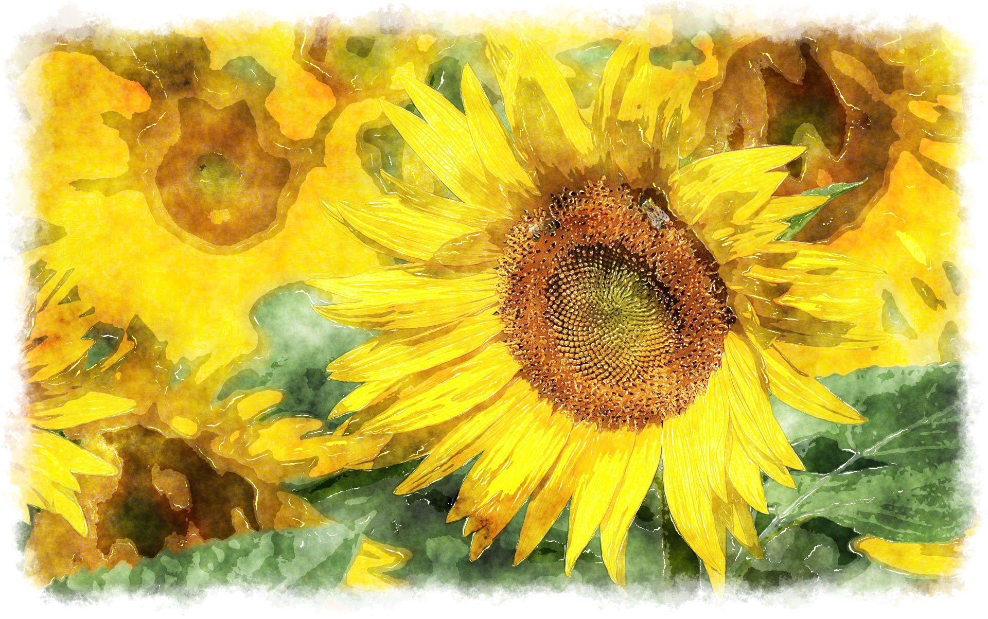 1920x1203 Watercolor Sunflower - Sunflower Watercolor Painting