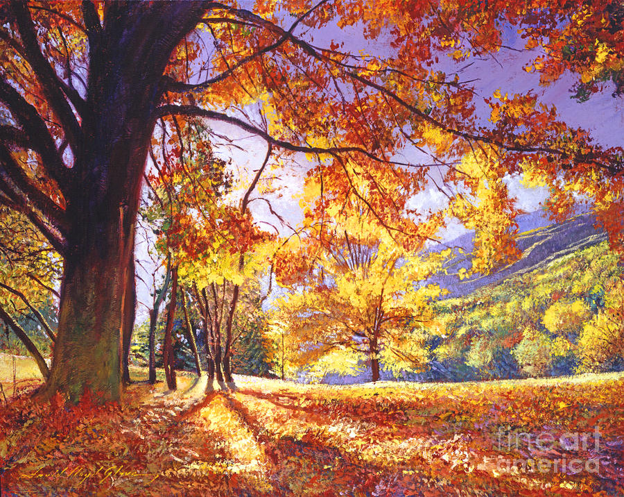 900x716 Sunlight Through The Trees Painting By David Lloyd Glover - Sunlight Painting